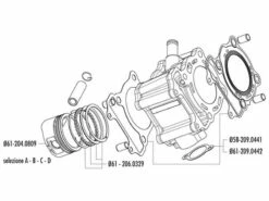 Zylinderkit Polini Aluminium 169ccm Für Honda 150ccm LC -Racing Planet Verkaufsgeschäft 119 0046 exp