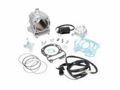 Zylinderkit Polini Aluminium Sport 294ccm 77mm Für Piaggio 300ie 4T LC Motor -Racing Planet Verkaufsgeschäft 140.0224 11
