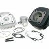Zylinderkit Polini Grauguss Sport 70ccm 10mm Schräg Für Minarelli Liegend AC