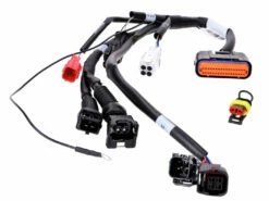 Einspritzmodul Polini ECU Für Vespa GTS 300 Euro5 -Racing Planet Verkaufsgeschäft 171.0017 4