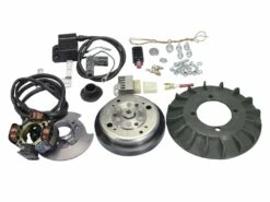 Zündung Polini Analog Mit Licht Für Vespa 50 Special, ET3 125, Primavera 125 Mit 20mm Konus