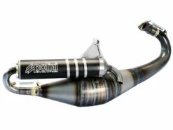 Auspuff Polini Racing Evolution 50 TWD Für Derbi, Gilera, Piaggio 50ccm