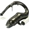 Auspuff Polini Sport Mit Alu-Endschalldämpfer Für Vespa Primavera, Primavera ET3 125 -Racing Planet Verkaufsgeschäft 200 2025 S
