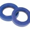 Wellendichtringsatz Kurbelwelle Polini FKM/PTFE Für Piaggio -Racing Planet Verkaufsgeschäft 285.0001 wellendichtringsatz polini for piaggio 01 shop