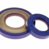 Wellendichtringsatz Kurbelwelle Polini FKM/PTFE 19mm Für Vespa PK 50, 125, XL 50, 125, Primavera 125 ET3 -Racing Planet Verkaufsgeschäft 285.0005 1 wellendichtringsatz kurbelwelle polini shop
