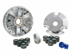 Variomatik Polini Hi-Speed Für Honda Zoomer, Ruckus, Metropolitan