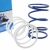 Gegendruckfedern Polini 2er Set 7%, 15% Für GY6, Kymco, Honda -Racing Planet Verkaufsgeschäft p13366 gegendruckfederset polini